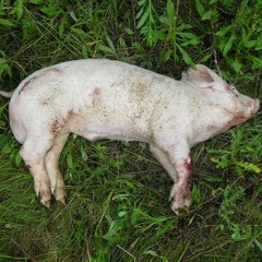 Climb - Galvalume (Unreleased Track)