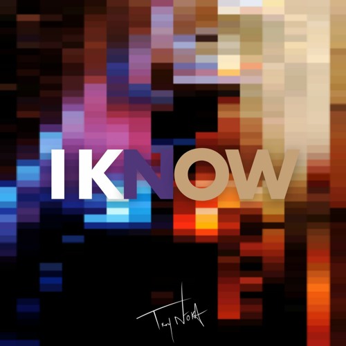 I Know [Prod. TROY NōKA]