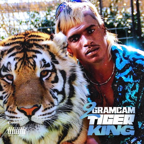 Tiger king streaming free sale