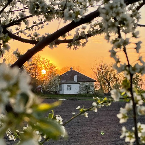 Andrew Bez for 80K Radio, Munich