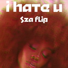 I Hate You Sza Flip