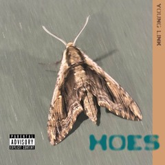 hoes