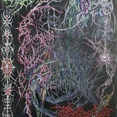 fool you prod twinxo