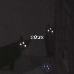 feb 4th