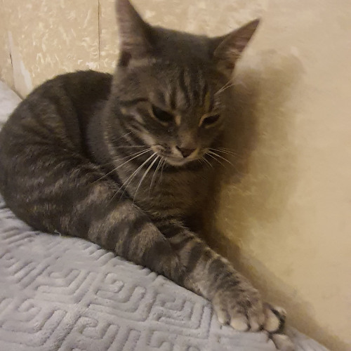 i cry when i finger myself