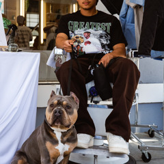 Paradox Deep Cuts Set