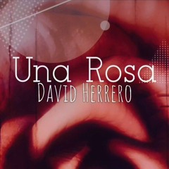 David Herrero - Una Rosa.mp3