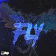 Fly