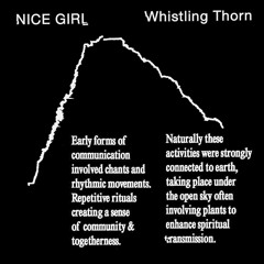 [PP042] Nice Girl - Whistling Thorn EP (snippets)