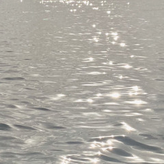 Rose (english ver.) by Kyungsoo - Cover