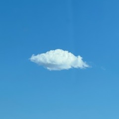 a bird hit my window. (Interlude)