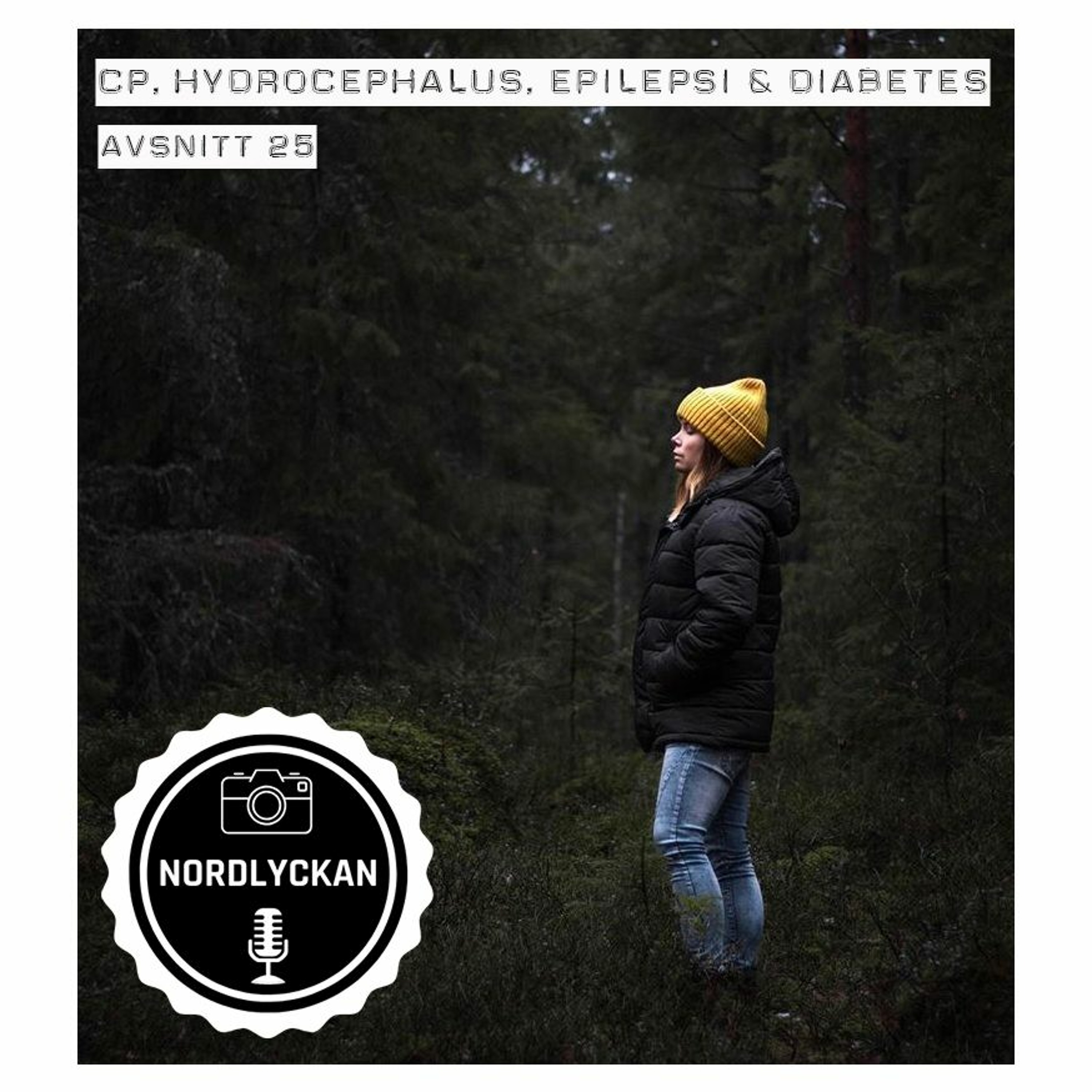 Nordlyckan