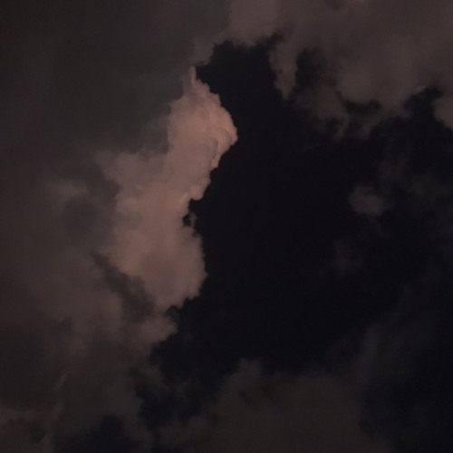 ‎⁨سالم الرويلي