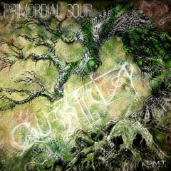 DMTC430- Quantaloop - Primordial Soup