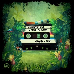 Norman & BPSK - Junglist Soul / Kung-Fu Killer