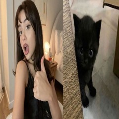 turn it up Jaysinz! *unreleased*