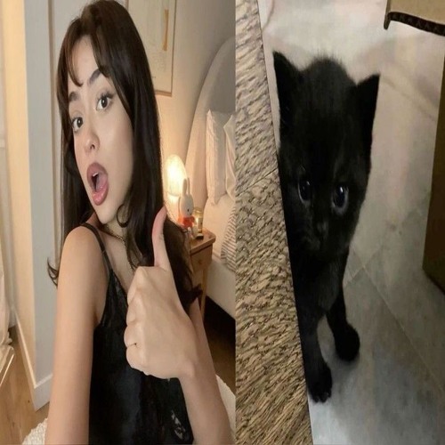 turn it up Jaysinz! *unreleased*