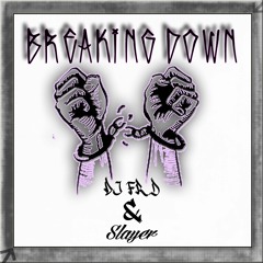 Dj Frd & Slayer - Breaking Down