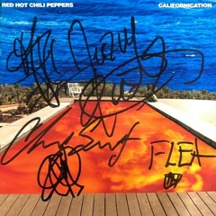 Red Hot Chili Peppers - Californication (dj nesa bootleg)