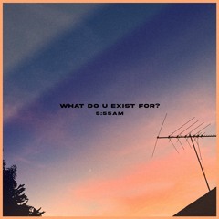 WHAT DO U EXIST FOR?