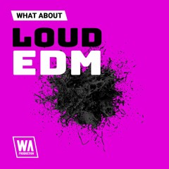 Tiësto / Martin Garrix Inspired Melodies & Presets | Loud EDM