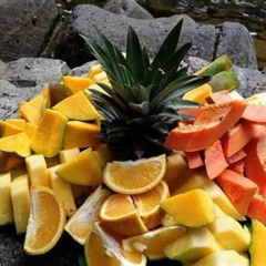 Review Special Price Twoinone Day Trip El Yunque And Bio Bay Tour With Transport