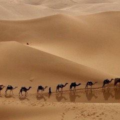 Gotimna - Desert Winds