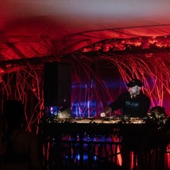 Minor Sine Project - Slow Tempo Set - Bass Coast 2024