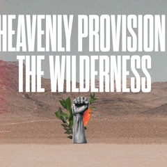 A Heavenly Provision In The Wilderness