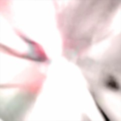 things you can't believe (miro)