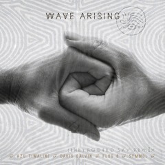 Wave Arising - Electric Shrine (Davis Galvin Remix)