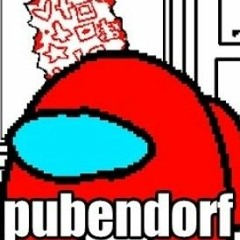 pubendorf - vs implasta v1