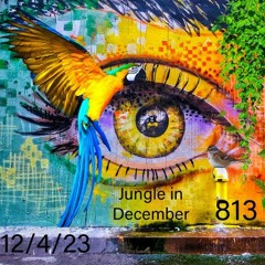 Jungle In December 12/4/23 YouTube Live Mix