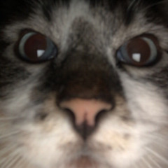 Sending All My Love BEST VERSION (Linear)