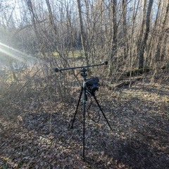 Beaver Pond Trail 2024-05-09