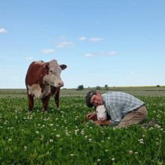 Martín Salto Stefani 011225
