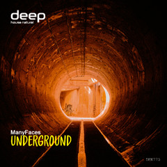 ManyFaces - UNDERGROUND (Original Mix) DHN775