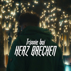 Trippie Boi - Herz Brechen