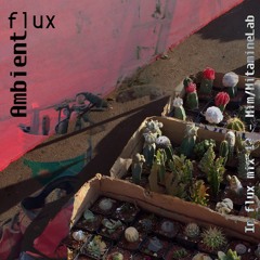 In flux mix 13 – Mim/MitamineLab