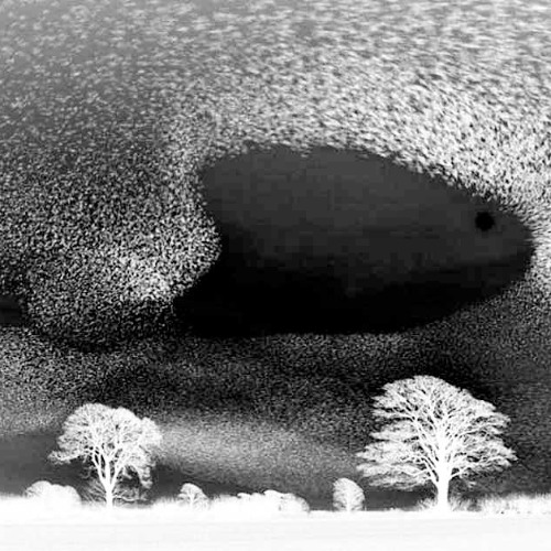 "𝗠𝗨𝗥𝗠𝗨𝗥𝗔𝗧𝗜𝗢𝗡𝗦" • 𝗣𝗶𝗮𝗻𝗼 & 𝗦𝘁𝗿𝗶𝗻𝗴𝘀 #Neoclassical