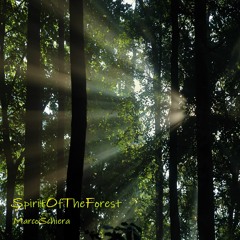 Spirit Of The Forest