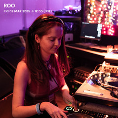 Roo - 02 May 2025
