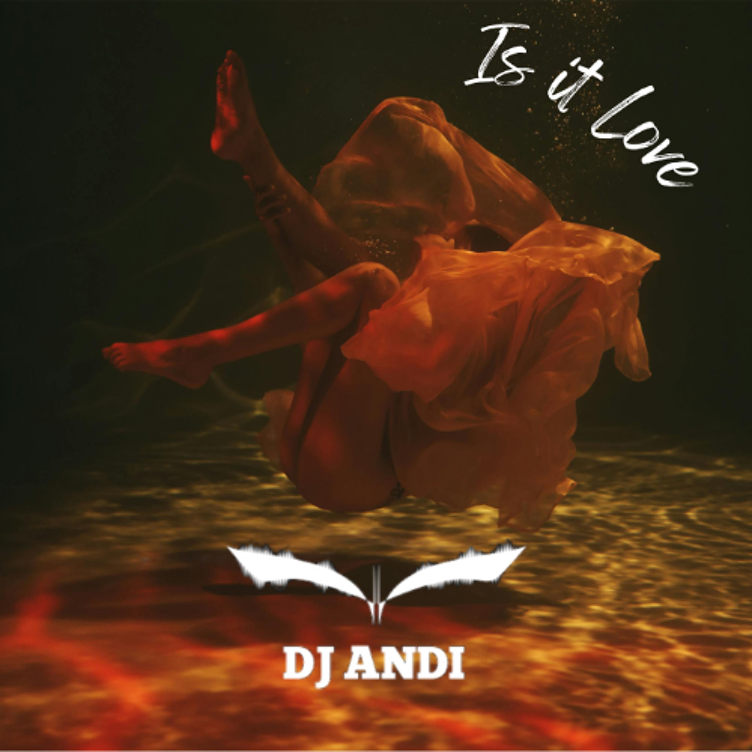 DJ Andi - Is it Love (Extended Mix) episode artwork