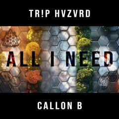 TR!P HVZVRD x CallonB - All I Need