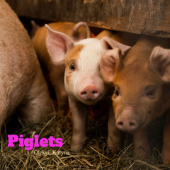 Piglets