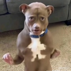 classic feeling (prod. obey)