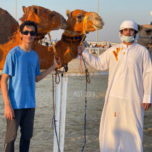 هجن الشقي x اسعد البطحري