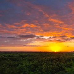 Paynes Prairie Sunset B2B Karellos