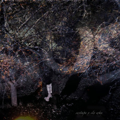 Drive Slow (feat. Vixu)