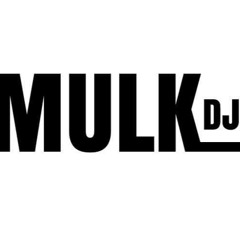 MulkDJ - I Need Somebody 2025